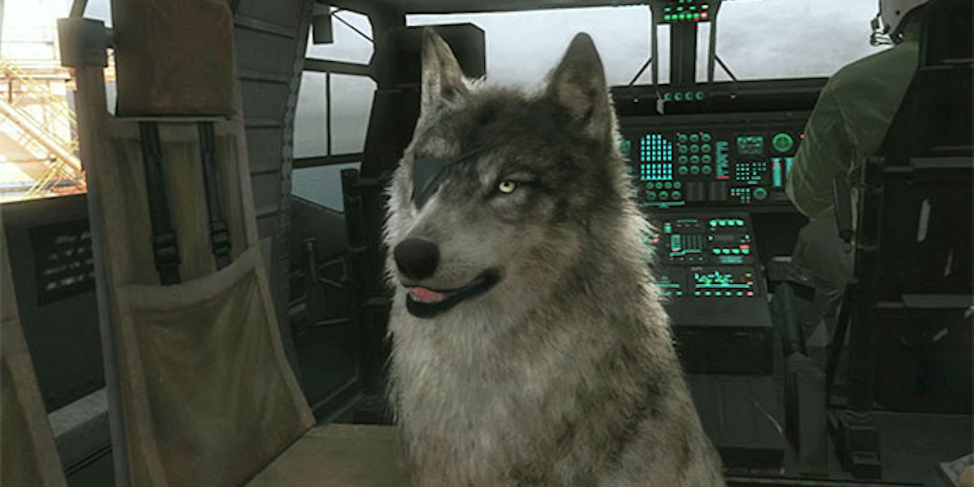 Metal Gear Solid 5: Cosplaying Dog Becomes Adorable DD