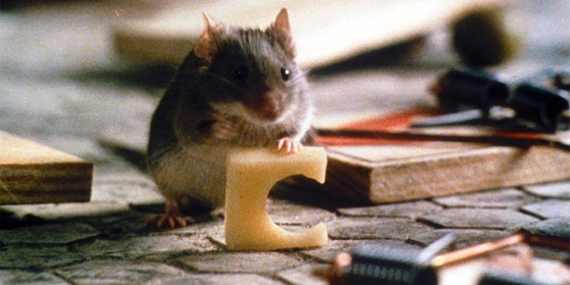 10 Chaotic Comedy Movies That Entertain From Start To Finish