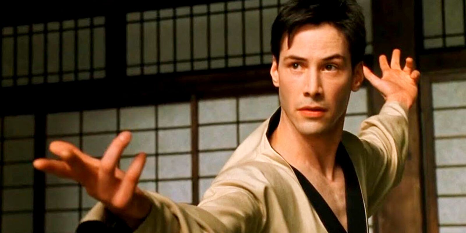 Neo In The Matrix Doing Kung Fu