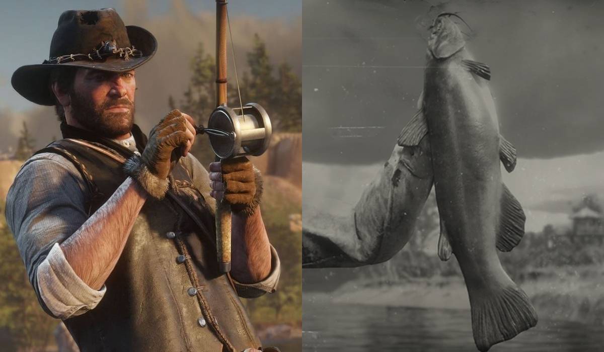 Why The Legendary Bullhead Catfish In RDR2 Is So Hard To Catch Why The Legendary Bullhead Catfish In RDR2 Is So Hard To Catch