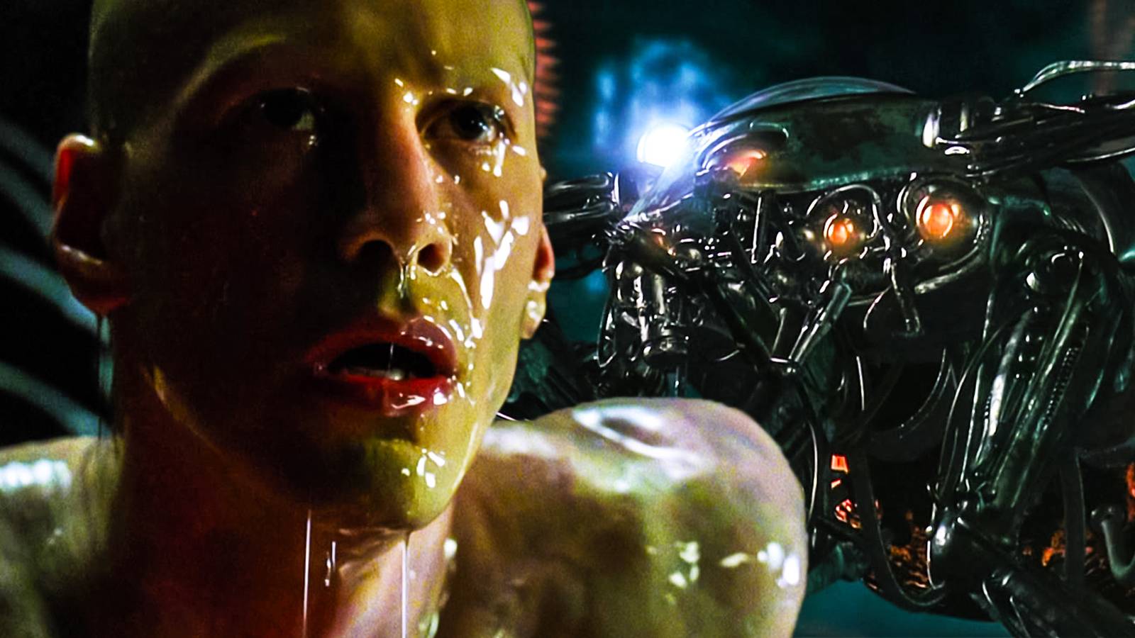 The Matrix Plot-Hole: Why The Machines Don’t Kill Humans When They Wake