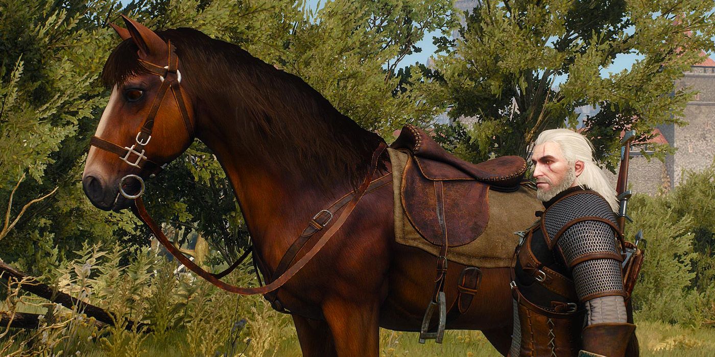Witcher Addons Horse