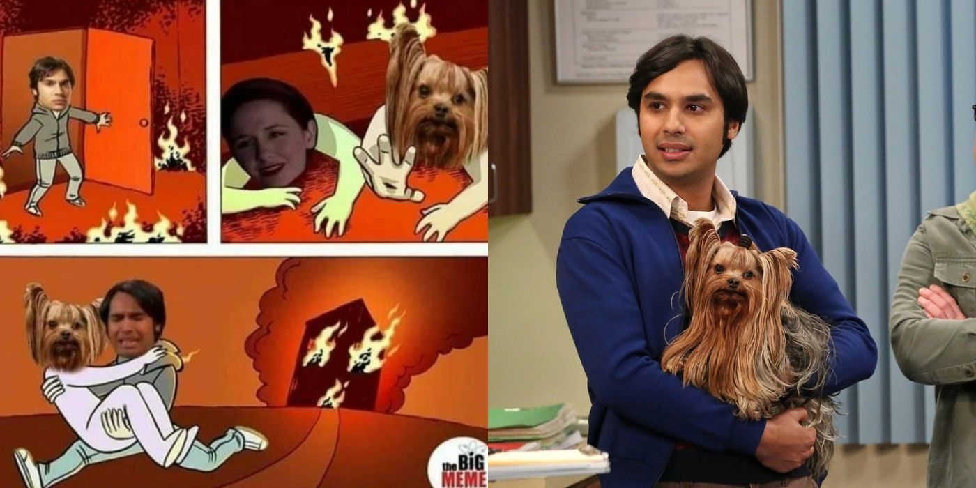 Raj Koothrappali Memes 10 Hilarious Big Bang Theory Memes That'll Make