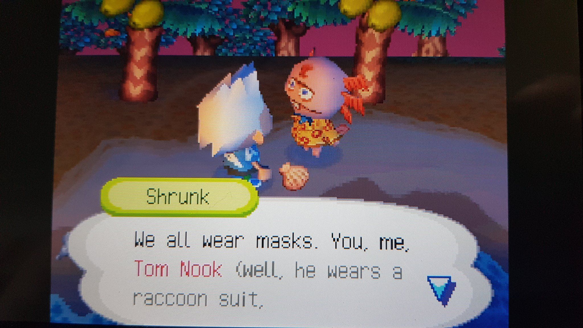 Animal Crossing Raccoon Suit
