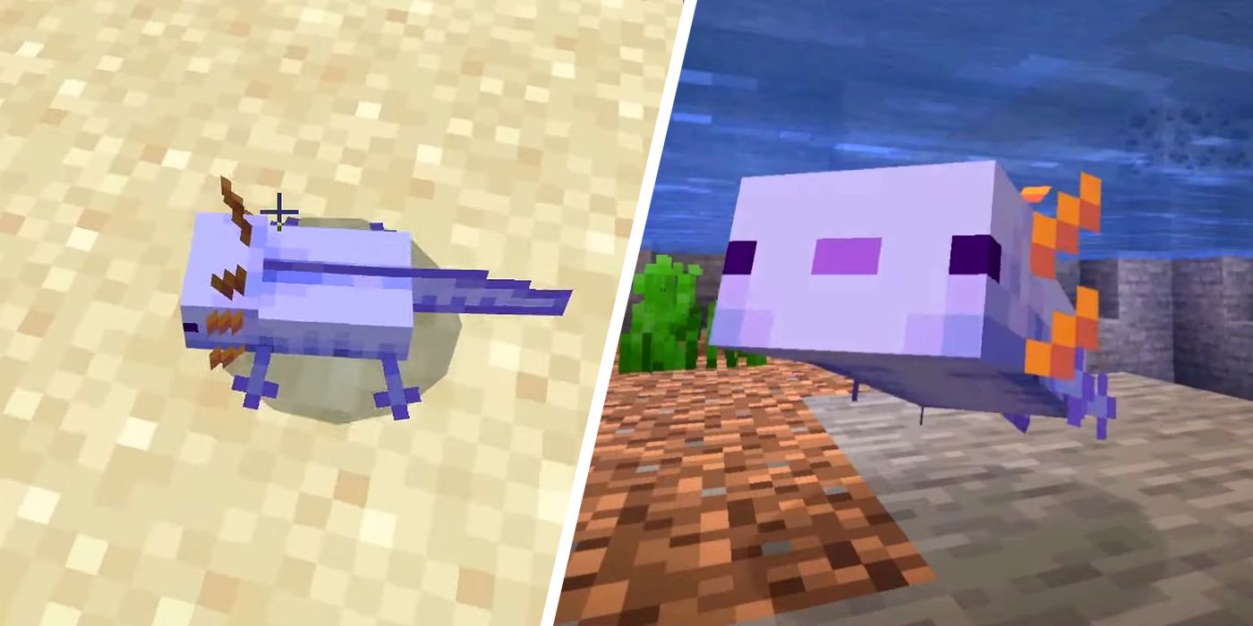 How To Spawn a Blue Axolotl In Every Minecraft Version