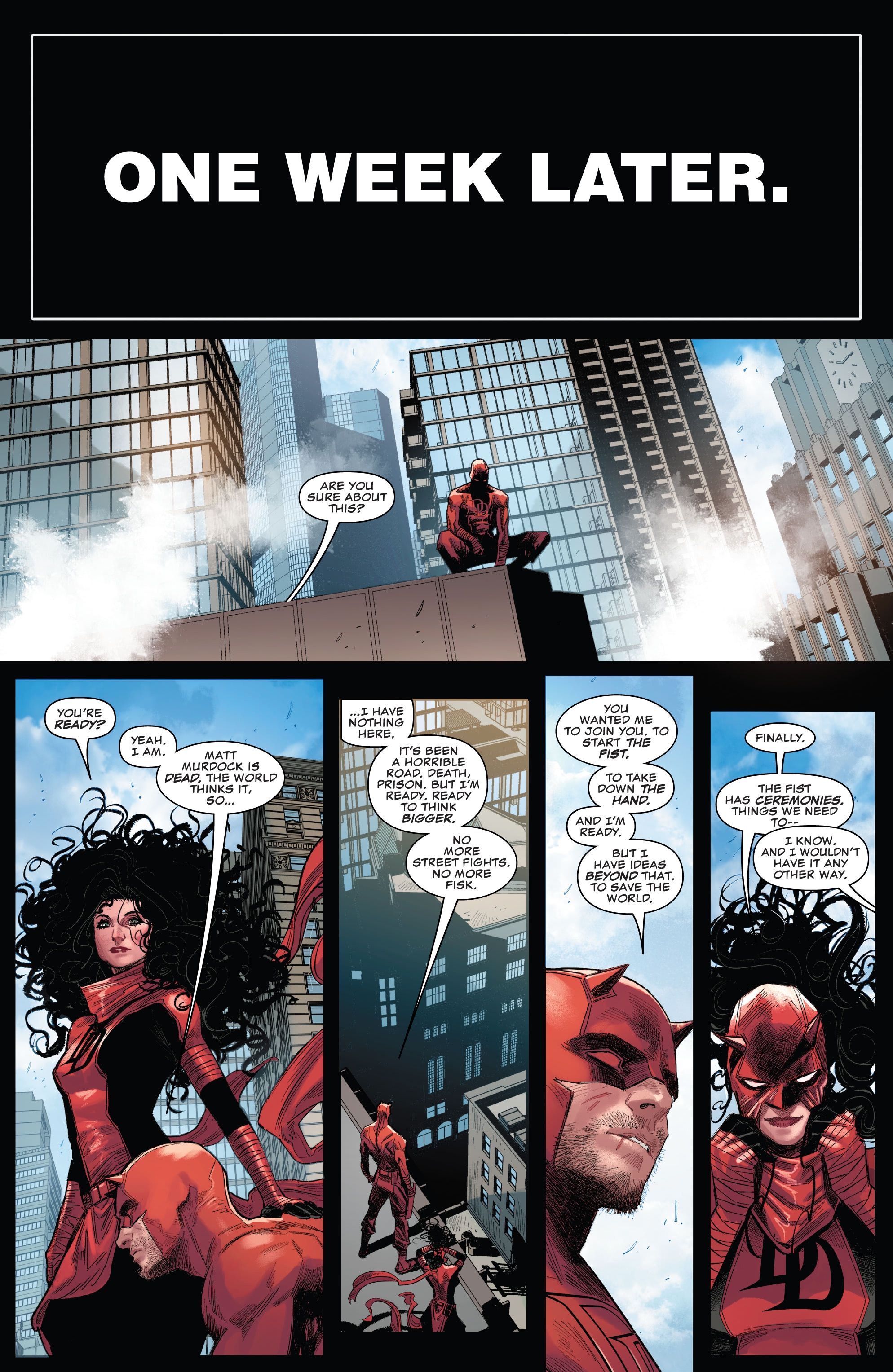 Daredevil Elektra the Hand