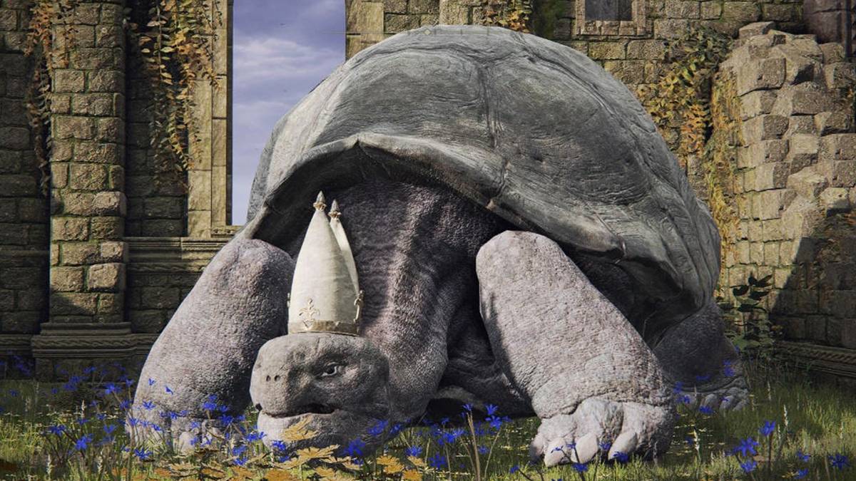 Elden Ring's Beloved Turtle Pope Gets Adorable Cosplay From Fan