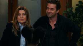 Grey's Anatomy Meredith Grey Nick Marsh Meeting Meredith's Kids