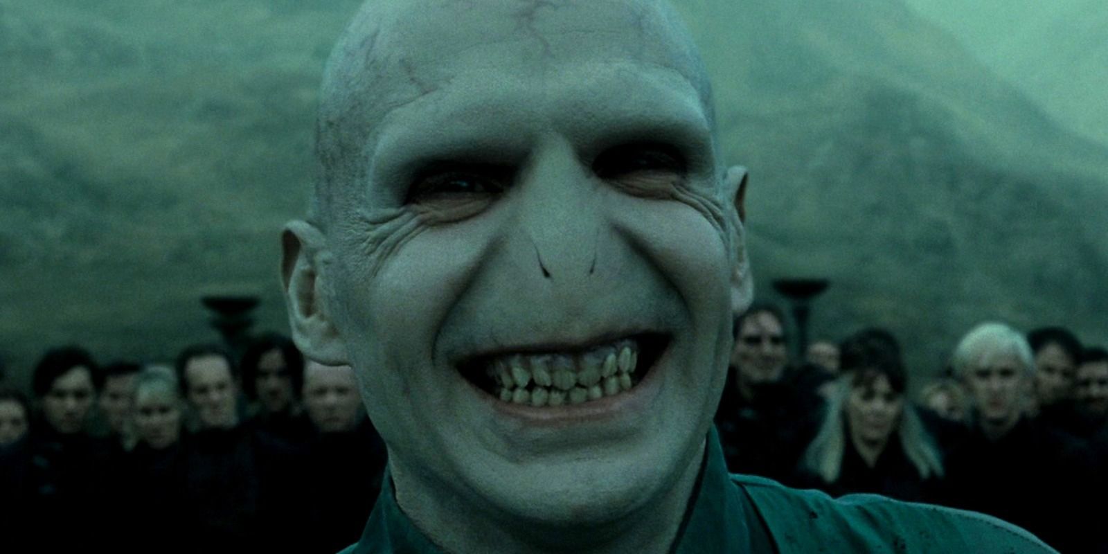 Harry Potter Lord Voldemort Deathly Hallows