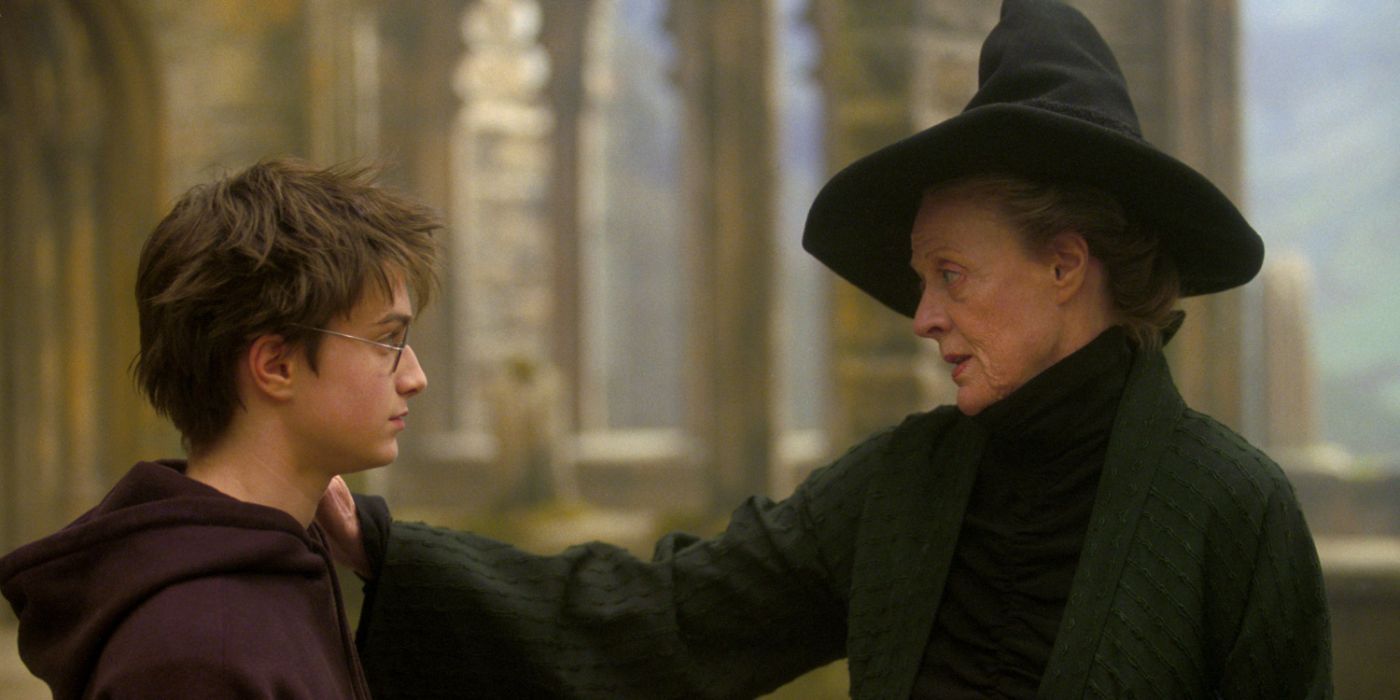 Harry Potter Professor McGonagall and Harry