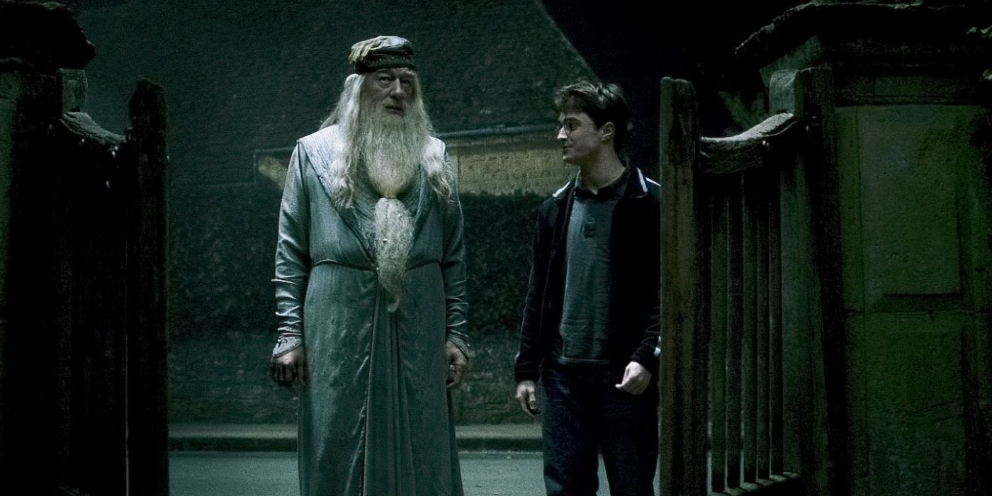 Harry Potter and the Half Blood Prince Dumbledore and Harry