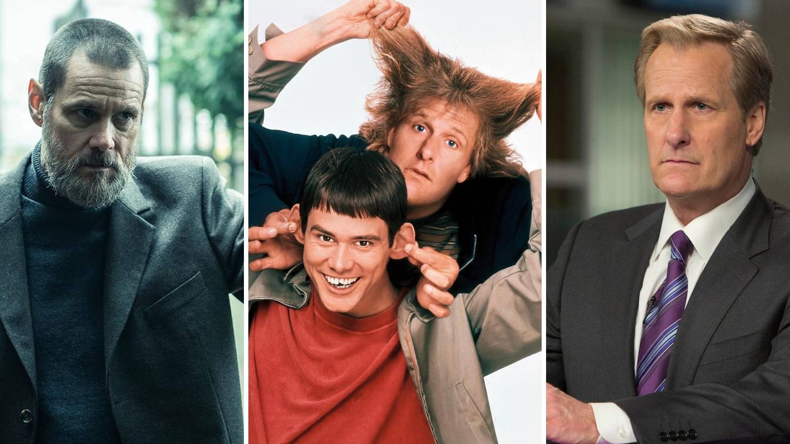 Dumb And Dumber Cast Now: Biggest Movies Since & What They Look Like