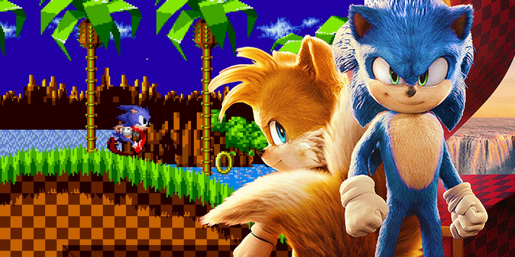 Sonic the hedgehog video game