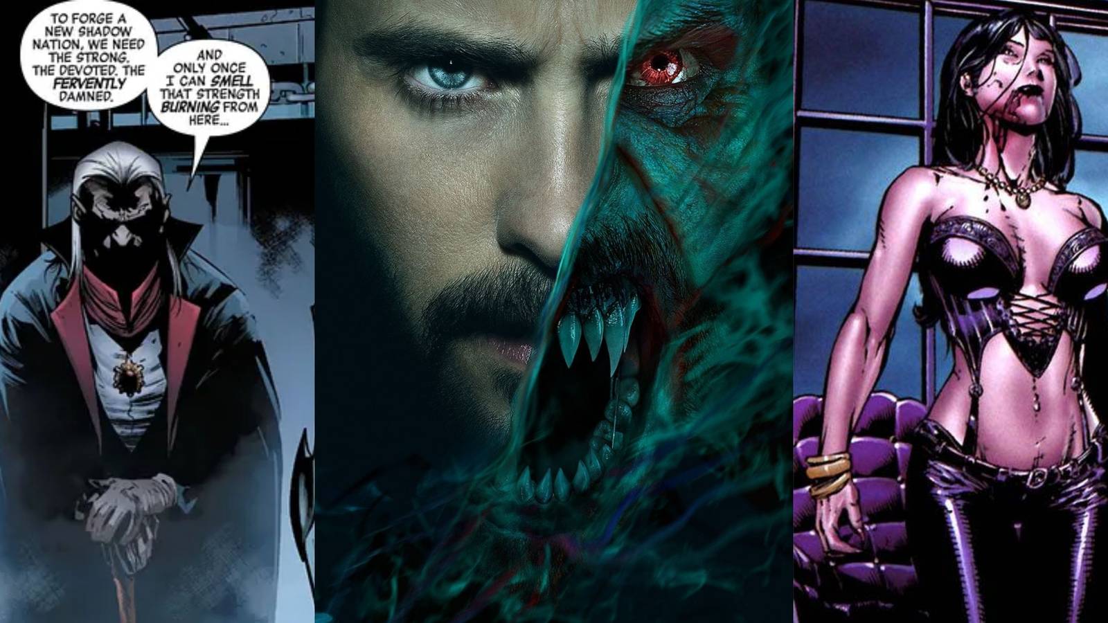 Nina Dobrev As Elena Gilbert In Vampire Diaries Wallpaper … | Flickr, image size:1600x900