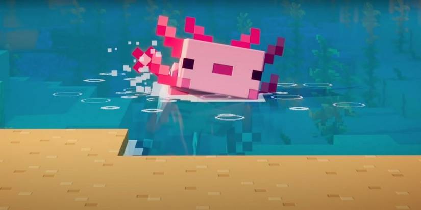 What Axolotls Eat In Minecraft Axolotl In Water