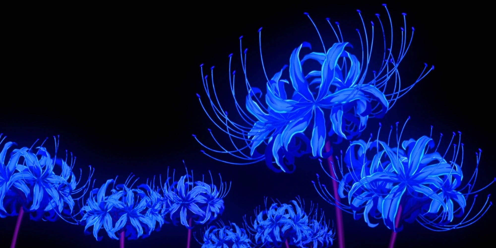 Demon Slayer's Blue Spider Lily Flower Explained