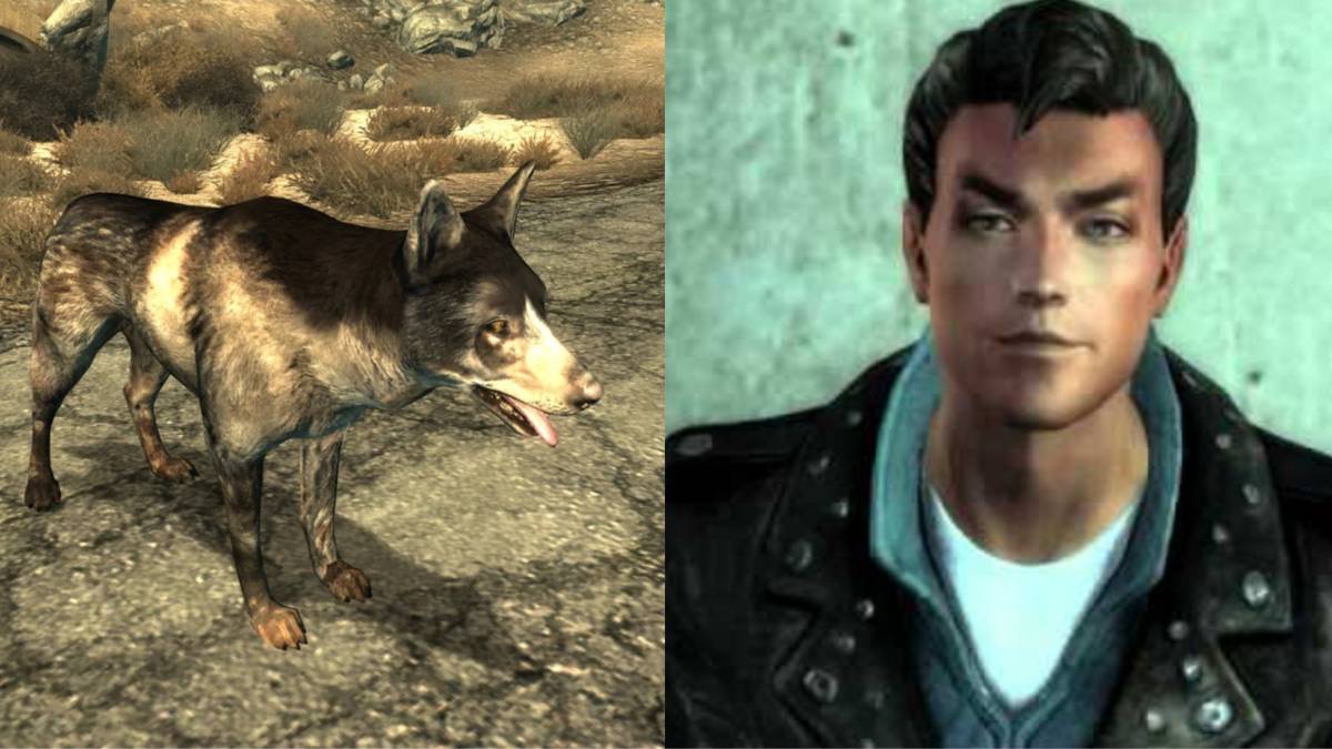 All 8 Fallout 3 Companions, Ranked By Likability