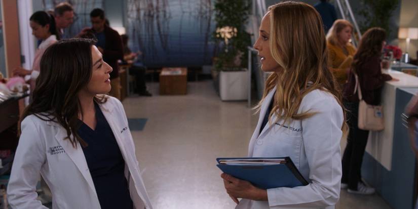 Amelia Shepherd Teddy Altman Greys Anatomy