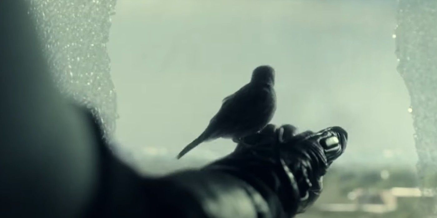 Fear The Walking Dead's "Amina" Title References A Dead Main Character