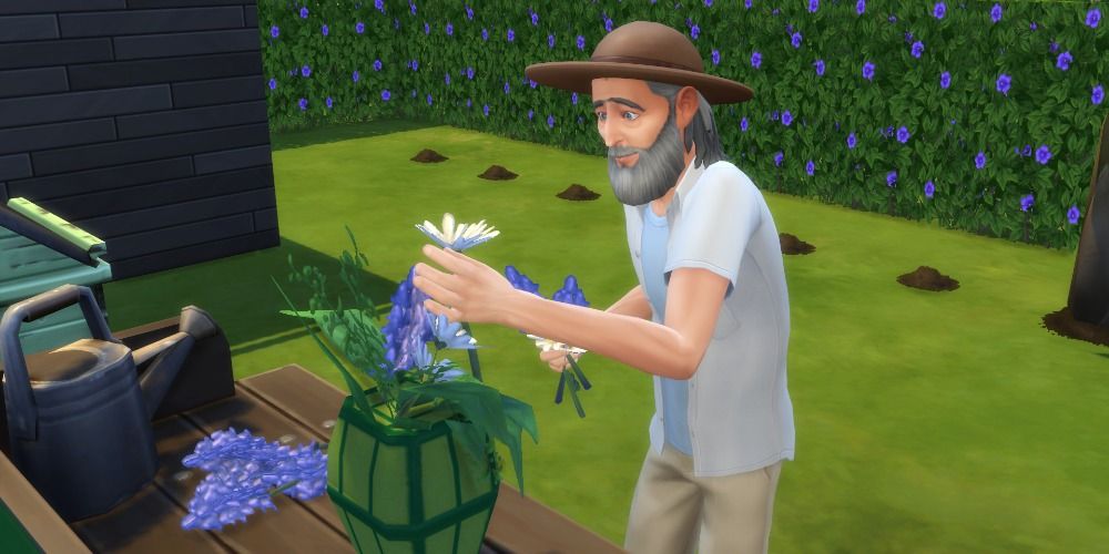An image of an elder sim cutting flowers in The Sims 4