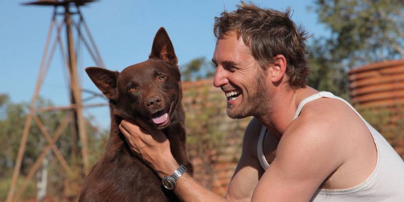Rescued By Ruby, And 9 Other Dog Films Based On A True Story
