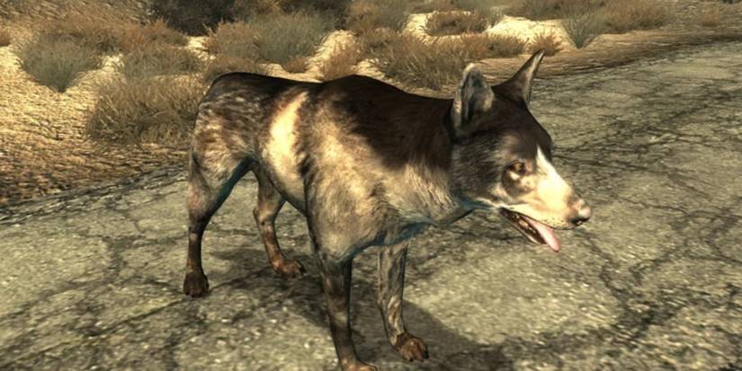 10 Best Dogs In Video Games, Ranked
