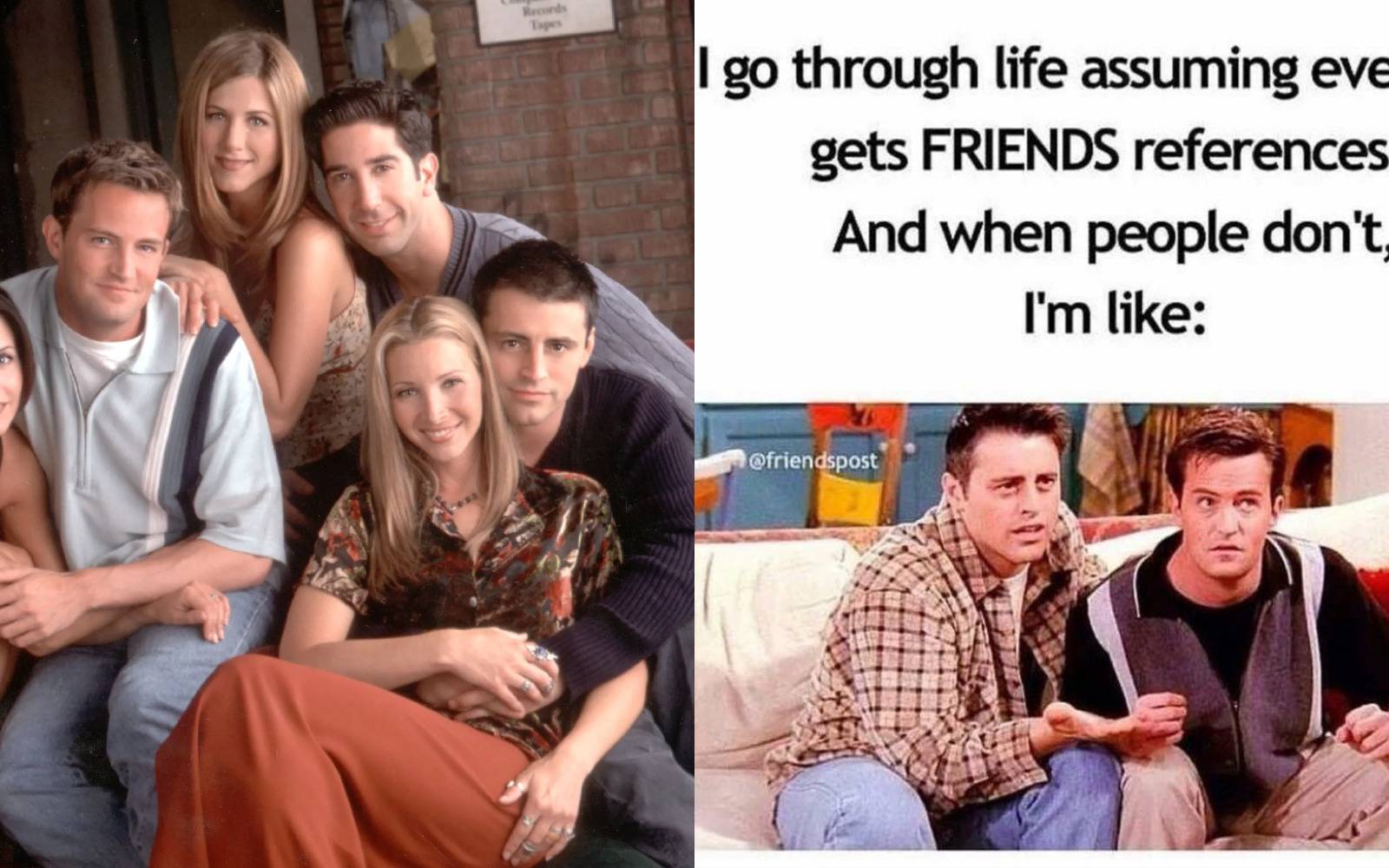 50+ Amusing, Entertaining and Down Right Best Lawn Care, Landscaping,, image size:1600x1000