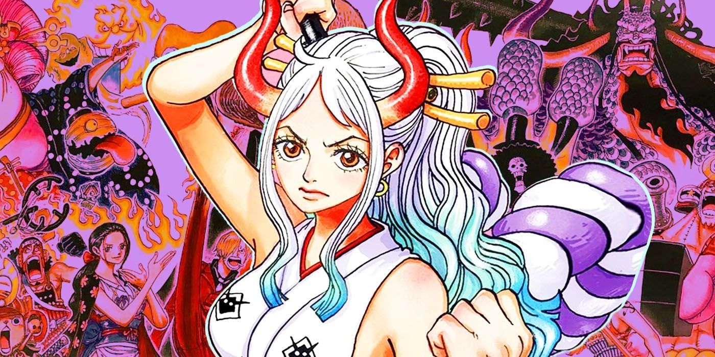 One Piece's Straw Hat Pirates Just Got a New Member