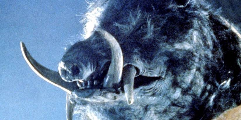 Killer Razorback 10 Underrated 1980s Horror Movies You Should Definitely Check Out