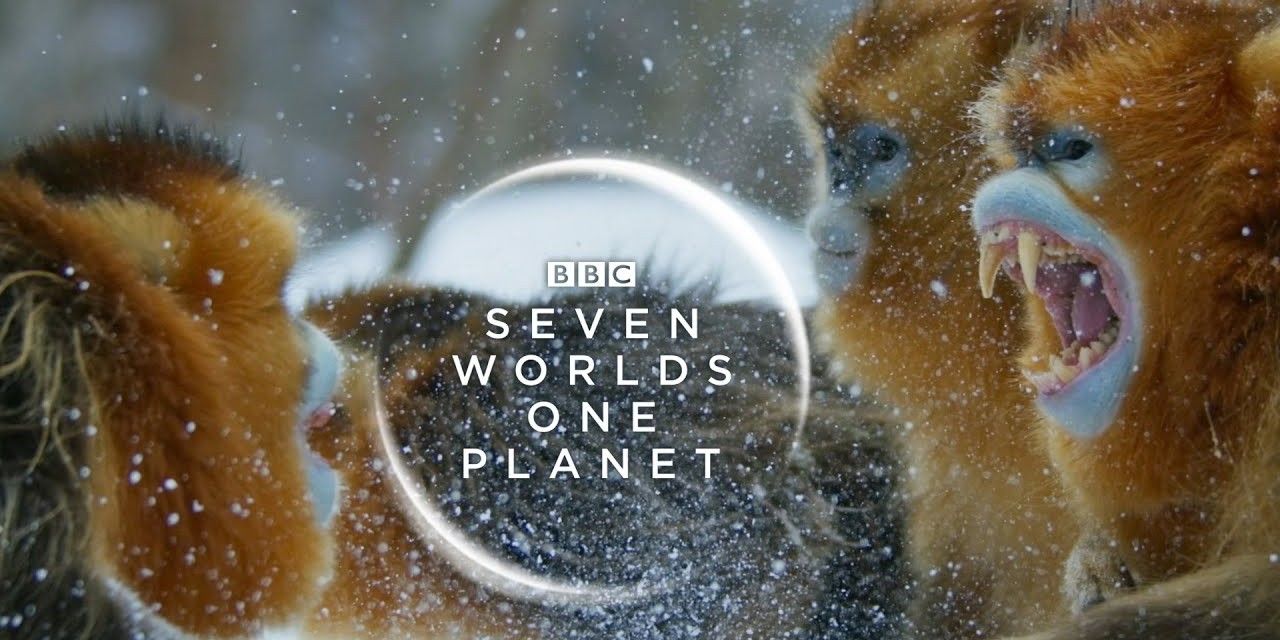 Seven Worlds One Planet documentary poster with monkeys