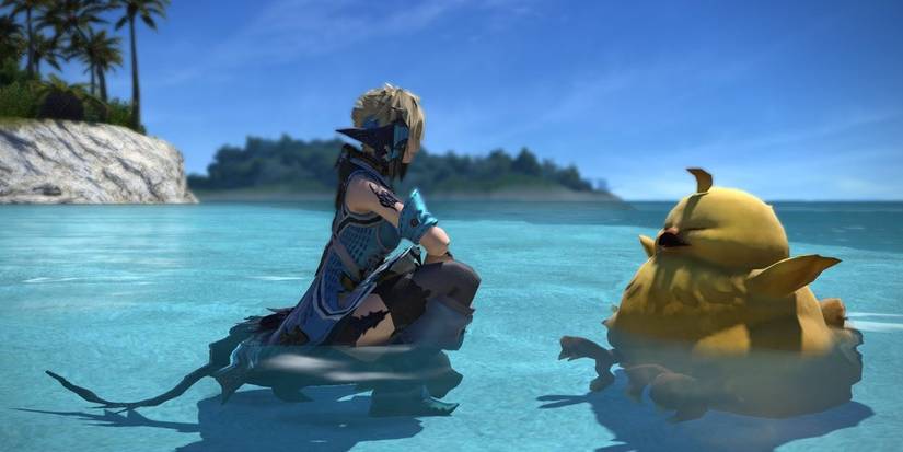 The Heavy Hatchling in Final Fantasy XIV