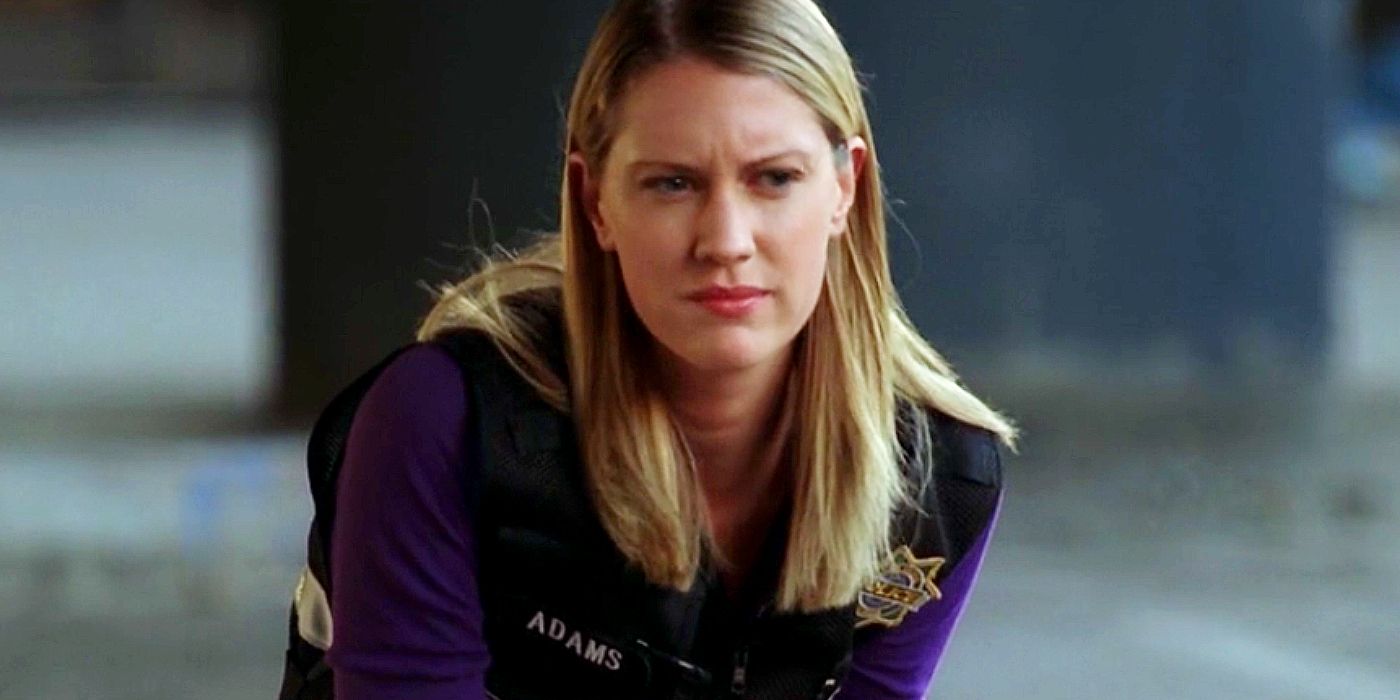 All 9 CSI Characters Who Left The Show Before The Ending (& Why)