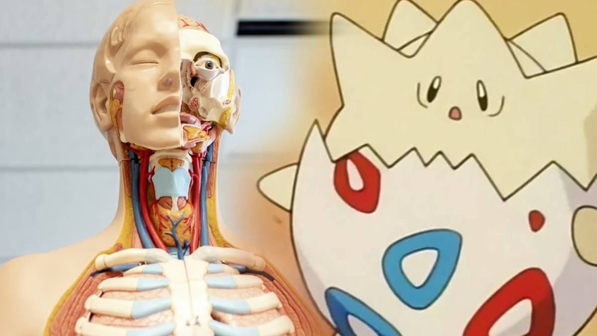 Anatomically Correct Pokémon Designed By Artist Are Pure Nightmare Fuel