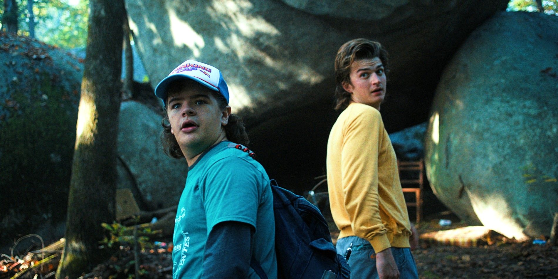 Stranger Things Star Addresses Dustin's Season 5 Ending & Potential Spinoff Future