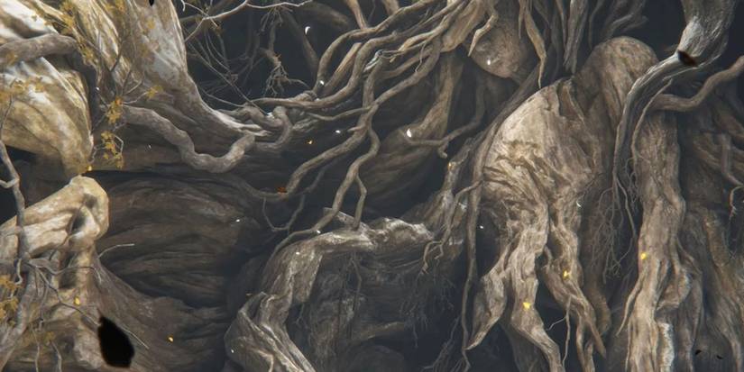 Is The Erdtree Or The Haligtree Elden Ring's True Parasite?