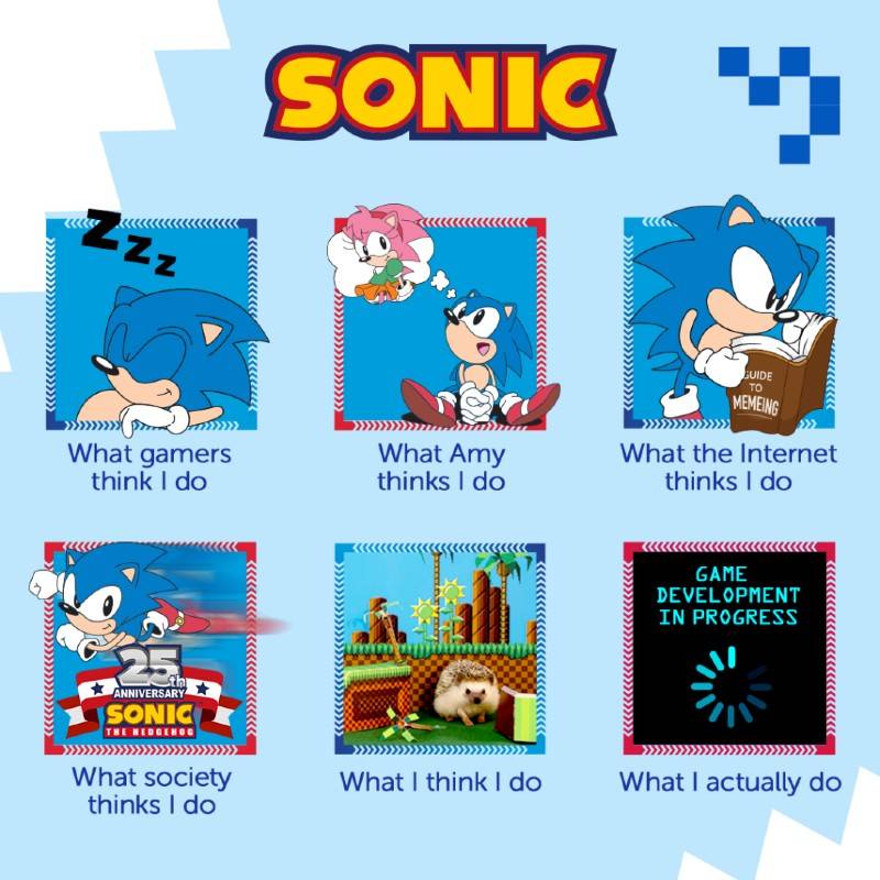 Sonic The Hedgehog: 10 Hilarious Memes That Sum Up The Games