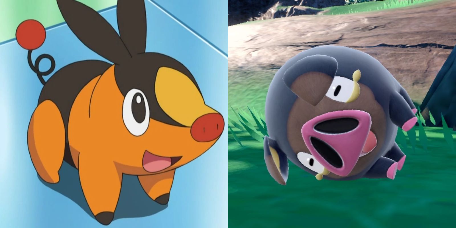 Pokemon Lechonk and Tepig