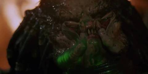 Predator Summary, Trailer, Cast, Where to Watch and More
