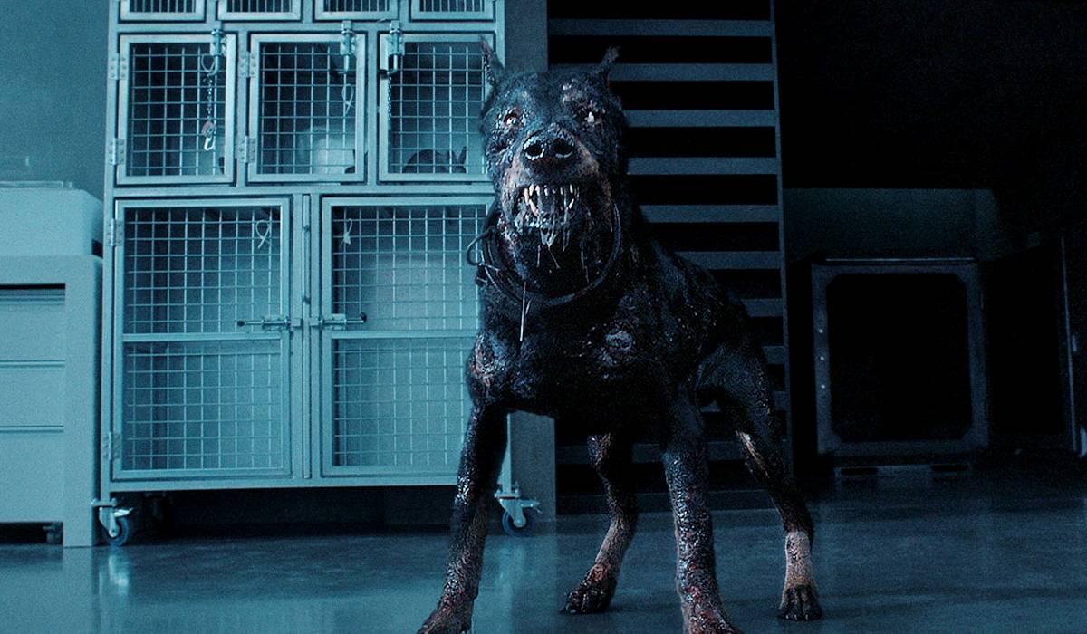 Resident Evil : Les Zombies De L'au Delà