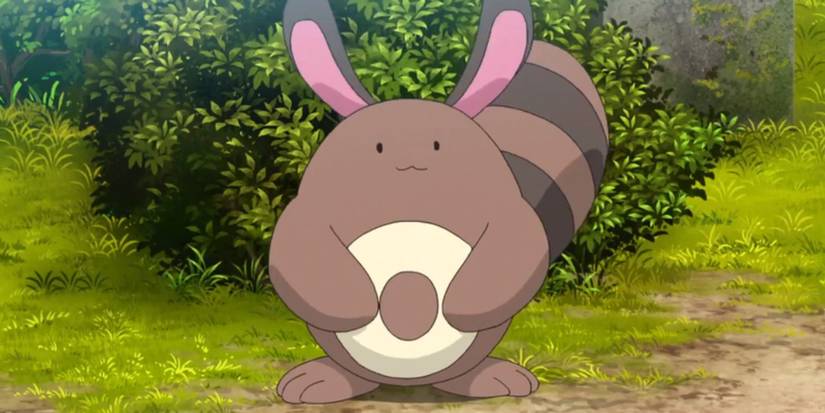 Sentret standing still in the Pokémon anime