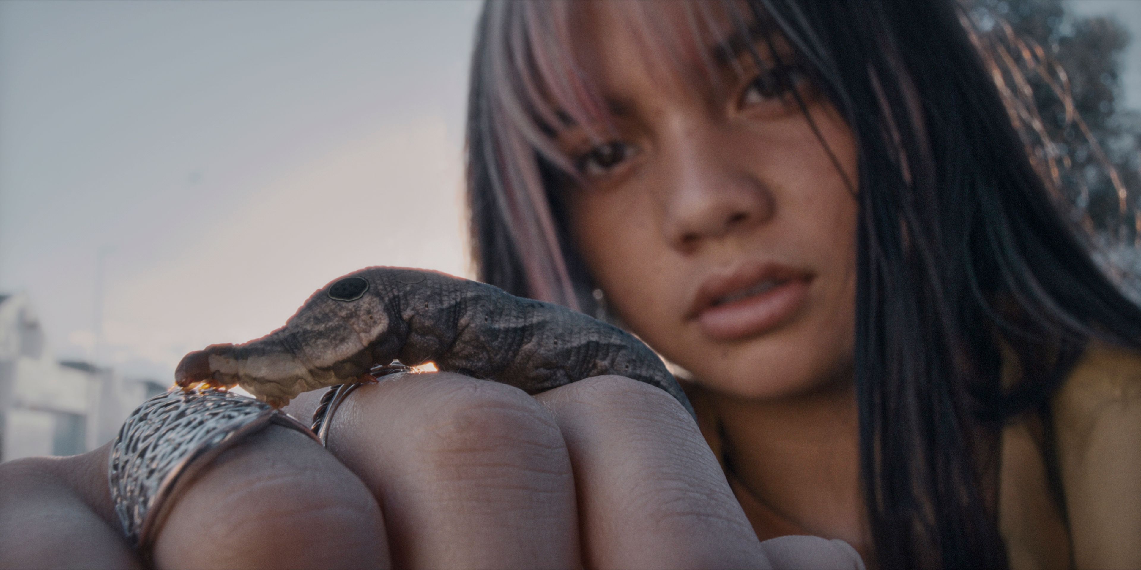 English Rose: \, image size:1500x750