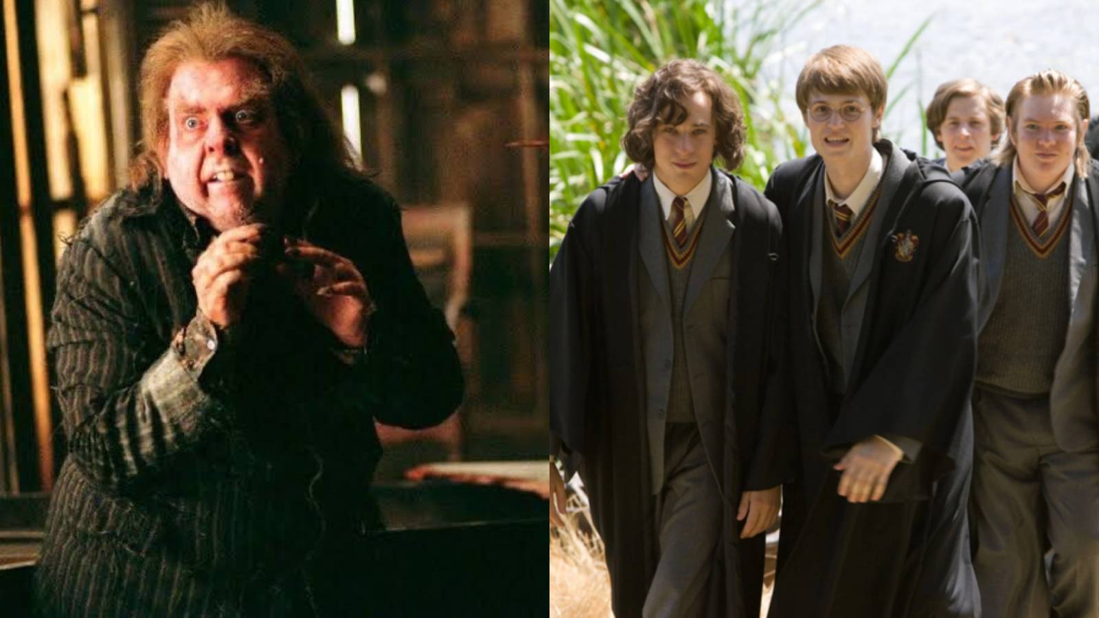 Harry Potter: 9 Things Only Book Fans Know About Peter Pettigrew