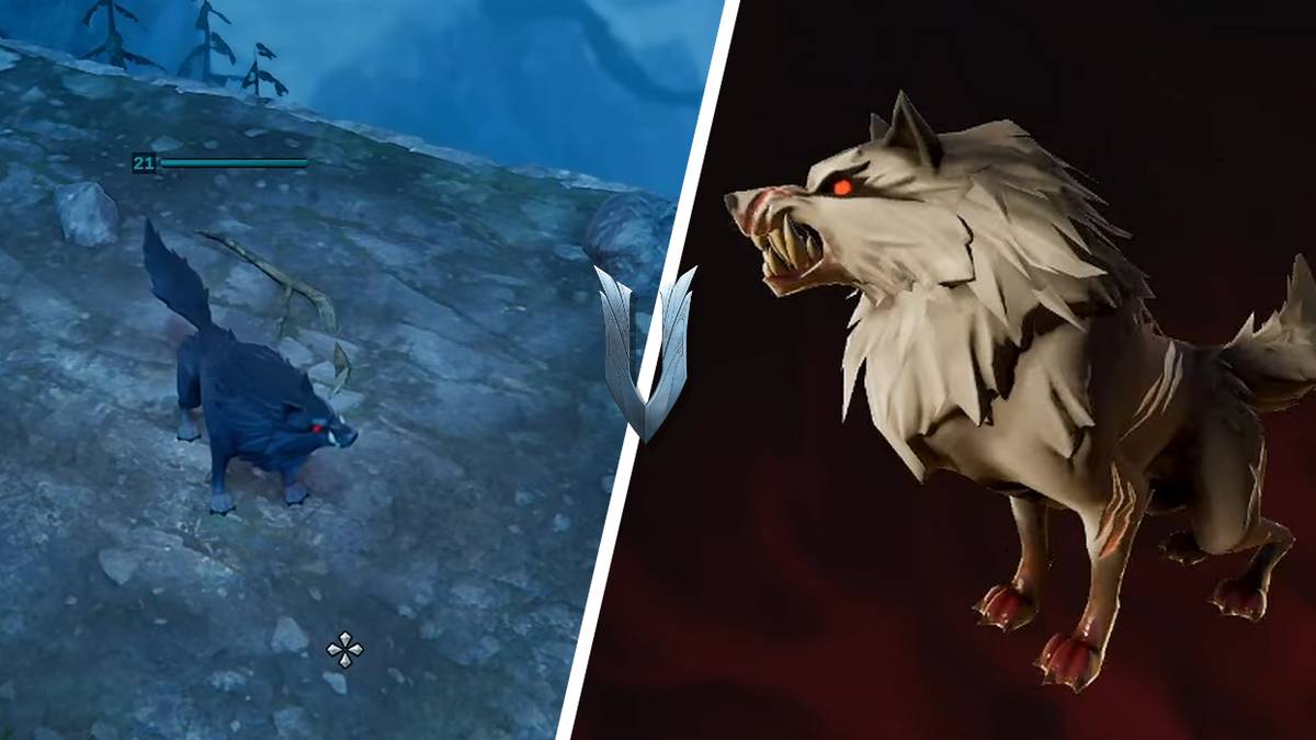Different Color Wolves V Rising V Rising: How to Find (& Defeat) The Alpha Wolf