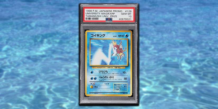 What Pokmon Cards Were Worth The Most Money In 2022 What Pokmon Cards Were Worth The Most Money In 2022