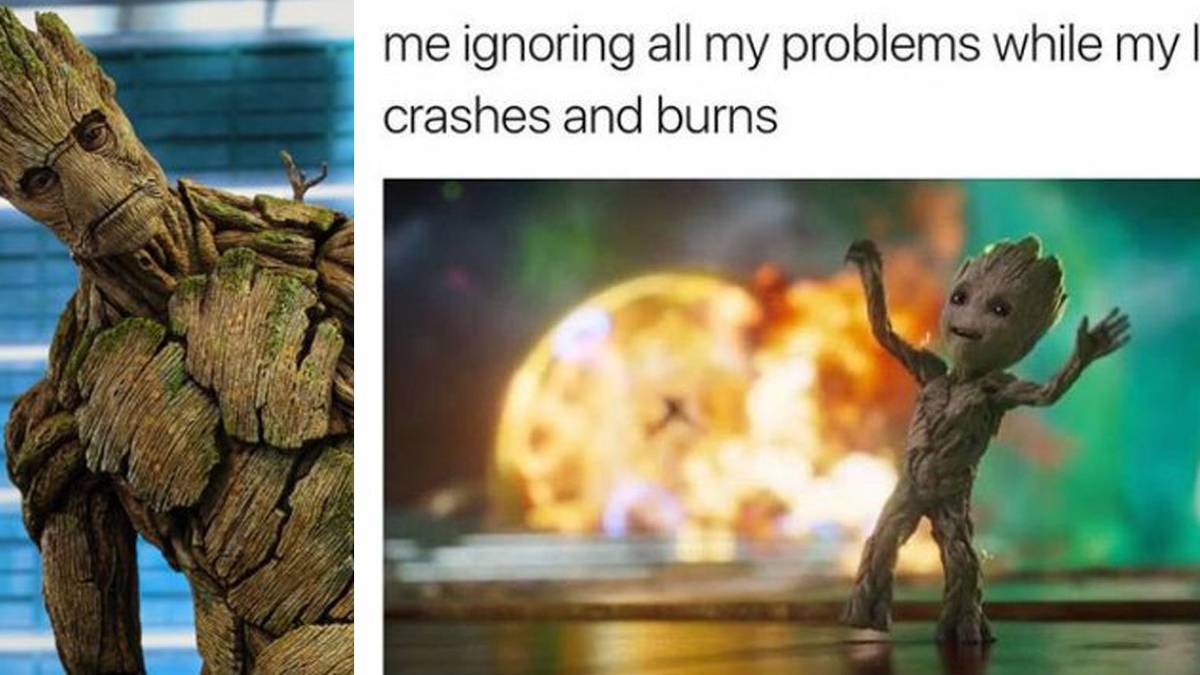 MCU: 10 Memes That Perfectly Sum Up Groot As A Character