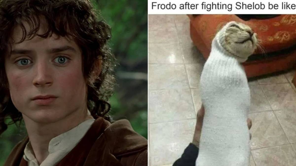 Lord Of The Rings: 10 Memes That Perfectly Sum Up Frodo As A Character