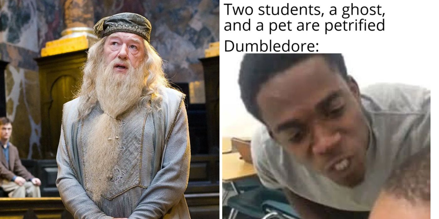 Harry Potter: 10 Memes That Perfectly Sum Up Dumbledore As A Character