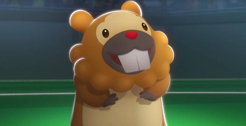 Every Cute Mouse Pokemon Ranked Bidoof 6