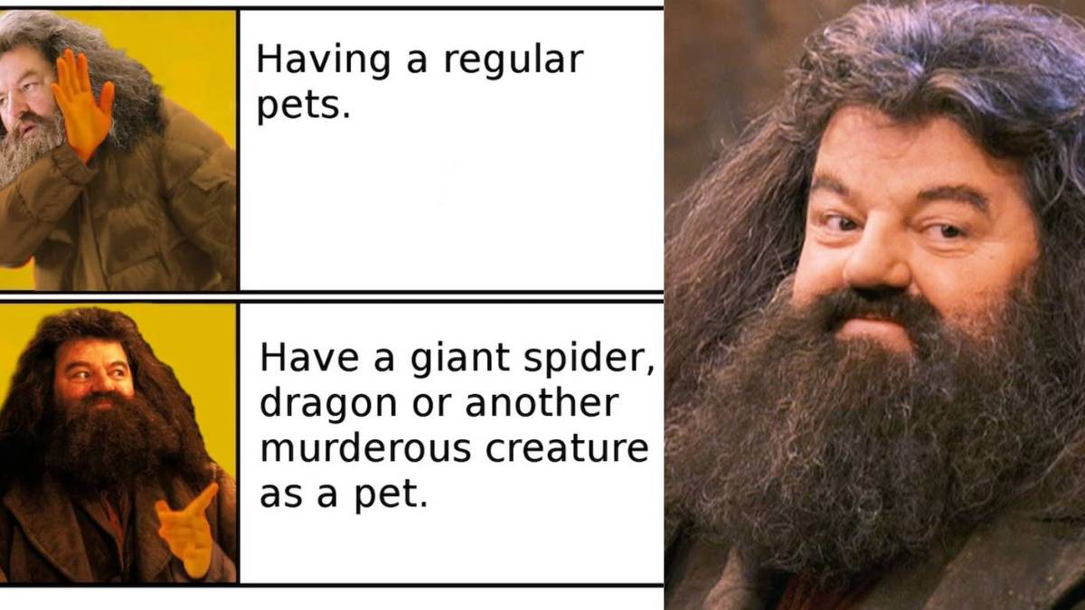 Harry Potter: 10 Memes That Perfectly Sum Up Hagrid As A Character