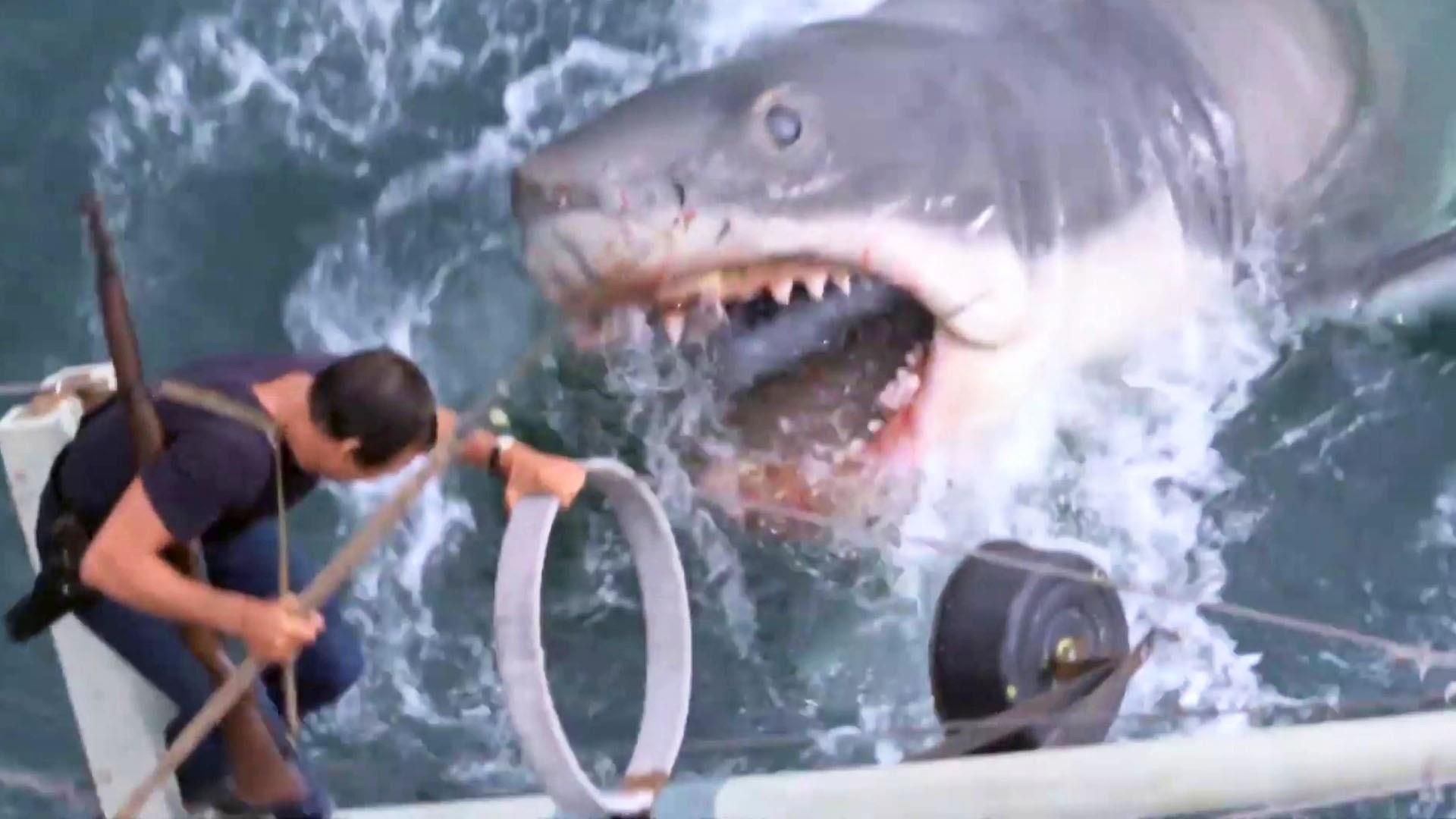 Jaws_3